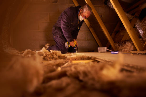 Best Insulation Removal  in Kensett, AR